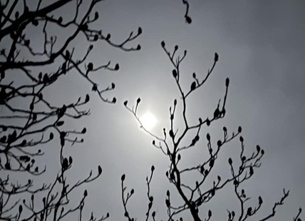 iN PHOTOS: Snow Moon captured through cloud cover over Kamloops, Okanagan