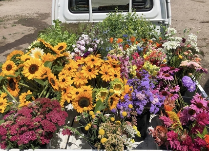 Kelowna flower grower selling bouquet subscriptions