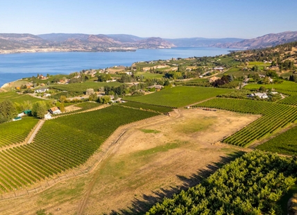 Of dozens of Okanagan vineyards for sale few pricier than this $15M Naramata offering