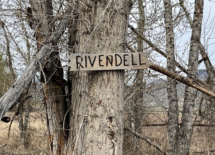 iN PHOTOS: Whimsical figurines decorate this 'Shire' on a Kamloops hiking trail