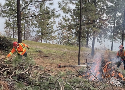 Indigenous knowledge and values add sustainability to Okanagan forest industry