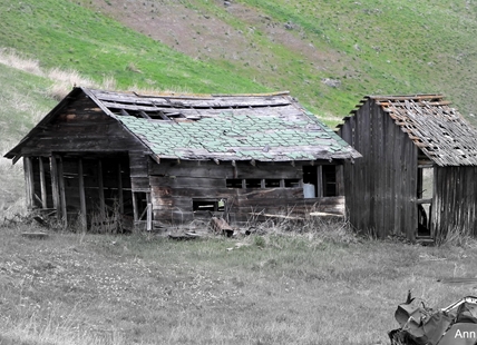 iN PHOTOS: Abandoned buildings add character to landscapes in Kamloops, Okanagan