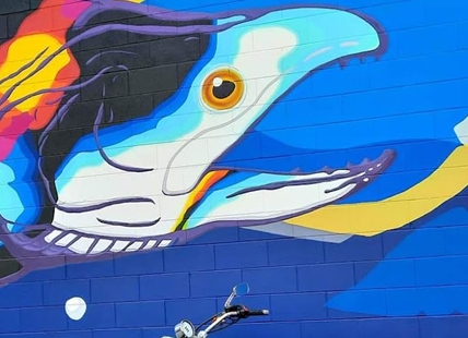 iN PHOTOS: Murals brighten spaces, tell local stories in Kamloops, Okanagan