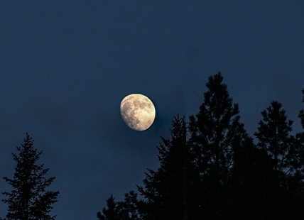 May's 'Flower' moon approaches peak illumination in Kamloops, Okanagan