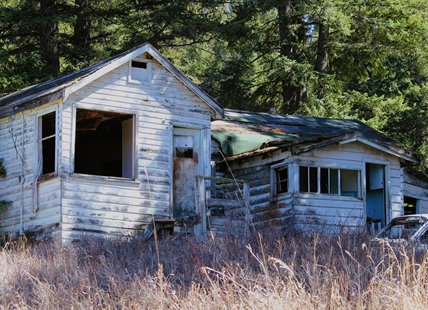 Senior photographs and reflects on decaying family sawmill in Kamloops backcountry