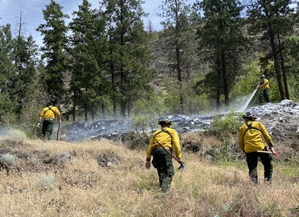 Cause of Mt. Boucherie grass fire in West Kelowna under investigation