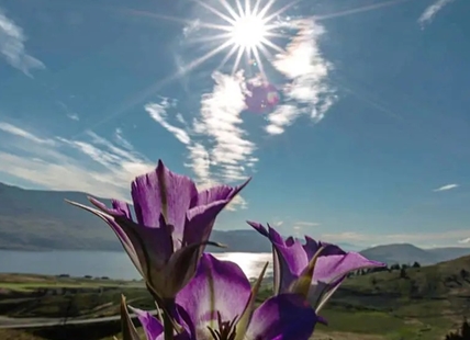 iN PHOTOS: Shutterbugs celebrate summer solstice in Kamloops, Okanagan