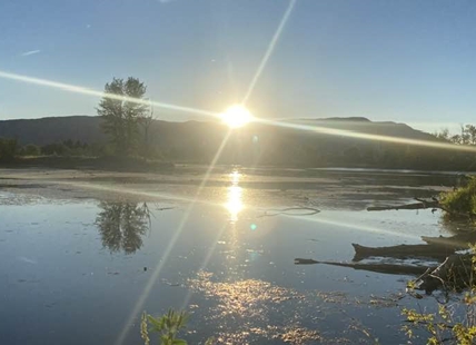 iN PHOTOS: Kelowna man shares images of city's natural treasure Munson Pond