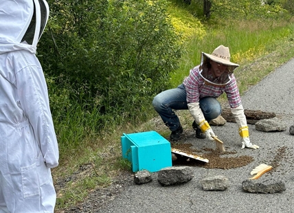 iN VIDEO: Honey bee swarm rescued on Okanagan Rail Trail in Kelowna