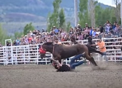 iN VIDEO: First Kamloopa Indian Days horse races all about dust, danger and action