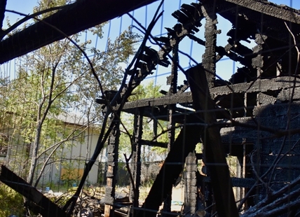 Squatters frequented torched Kamloops shed