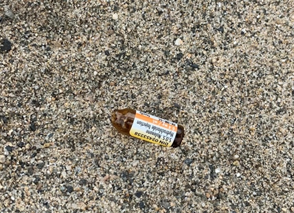 Kamloops mom wary of public beaches after finding signs of drug use