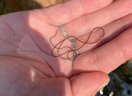 Kamloops woman makes wriggling discovery in local creek