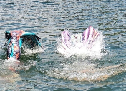 Yes, that's a swimming mermaid in Kelowna and she's looking for friends