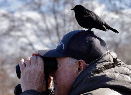 iN PHOTOS: Funny wildlife moments in Thompson-Okanagan part three