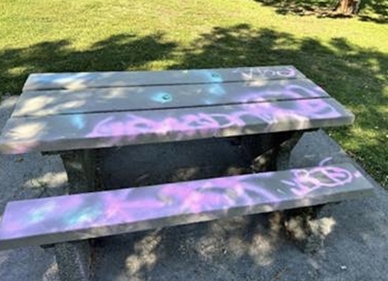 Vandals spray paint Kamloops playground with racist graffiti