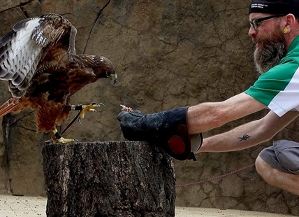 Meet the Kamloops man who cares for birds of prey, the creepiest of crawlies