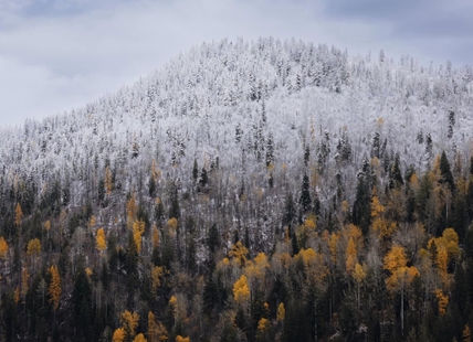 iN PHOTOS: Winter wonderland on the way to Okanagan, Kamloops