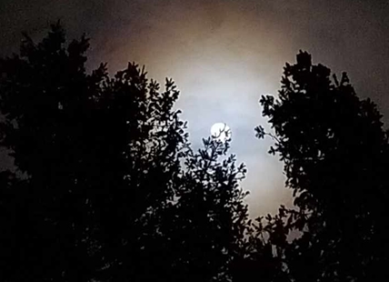 Full 'Cold Moon' will shine all weekend in Kamloops, Okanagan