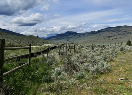 iN PHOTOS: This South Okanagan gem must-see for birders, outdoor enthusiasts