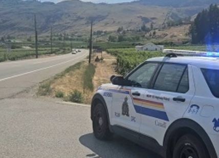 Pedestrian killed in hit-and-run near Oliver winery