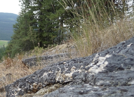 North Okanagan landowner protects 80 acres with conservation covenant