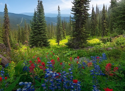 iN PHOTOS: A peek into magical landscapes in Kamloops, Okanagan