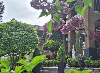 iN PHOTOS: Stunning European-inspired garden blooms at Kelowna B&B