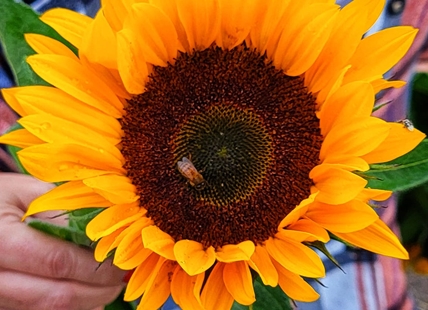 iN PHOTOS: Fall fun for families in Okanagan, Kamloops