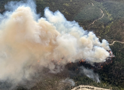 Wildfire near Peachland grows to 220 hectares