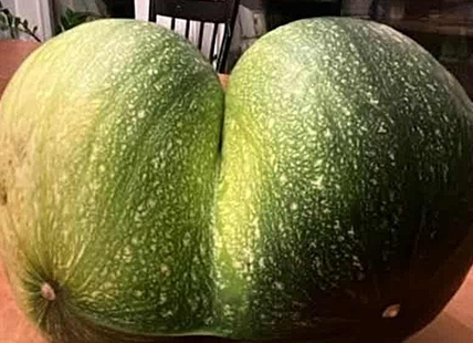 iN PHOTOS: Fun fall veggies emerge from gardens in Kamloops, Okanagan