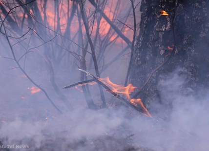 Five early season wildfires in Thompson-Okanagan human caused