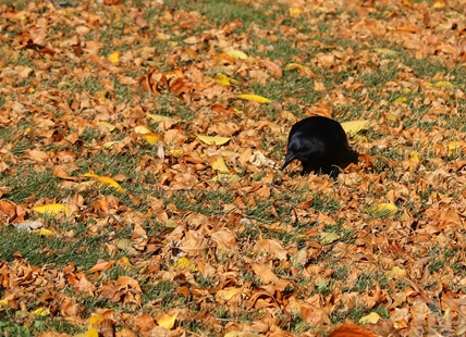 Cold snap ending in Kamloops and Okanagan but so is the sunshine