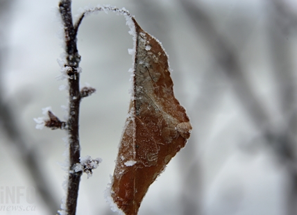 Wind chill a concern in Kamloops, Okanagan in frigid Arctic air