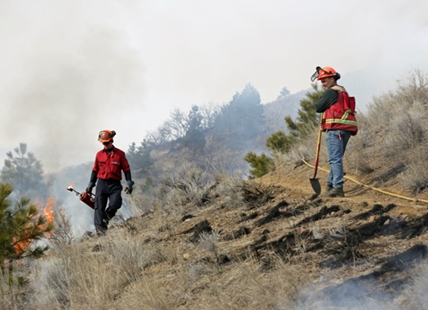 Prescribed burns set aside in favour of flame-free mitigation plans in Central Okanagan