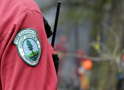 Wildfire seen from Kamloops held at less than 2 hectares