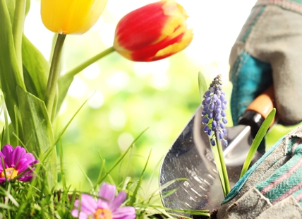 SPRING IS COMING: Gardening centres begin opening in Okanagan, Kamloops