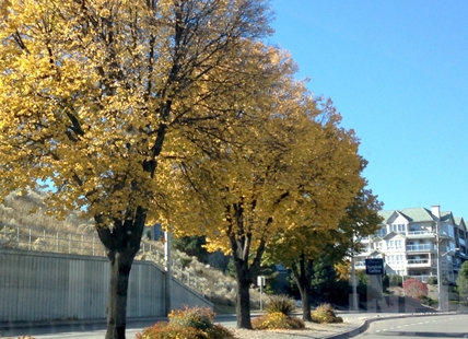 Warm, sunny fall weekend forecast for Kamloops, Okanagan