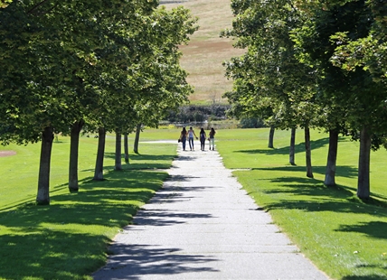 These urban foresters in Kelowna, Kamloops work to make their booming cities greener