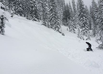 Snow biker killed in avalanche near Revelstoke