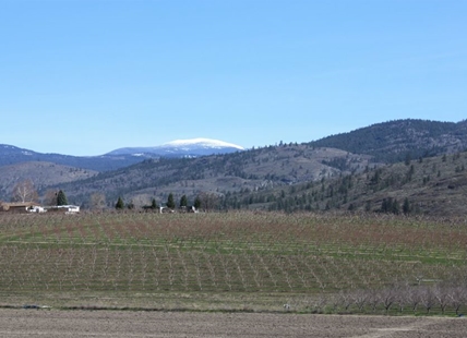 Farmland values drop in Okanagan and stay flat Thompson-Nicola: report