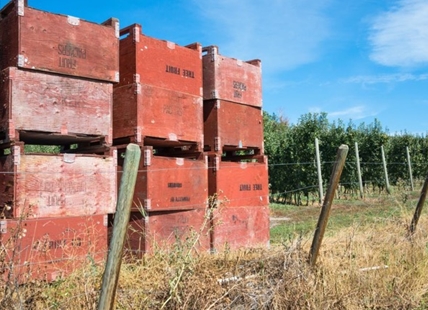 Province providing $4M for BC tree fruit growers following co-op shutdown