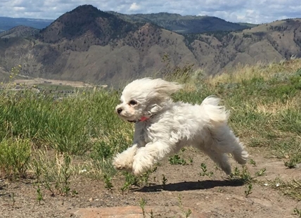 Fourth day of heat records in Vernon and Merritt