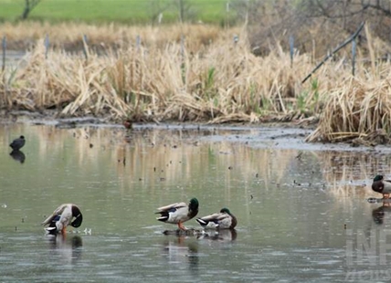 Jackpot for BC wildlife federation's 50/50 draw tops $200,000