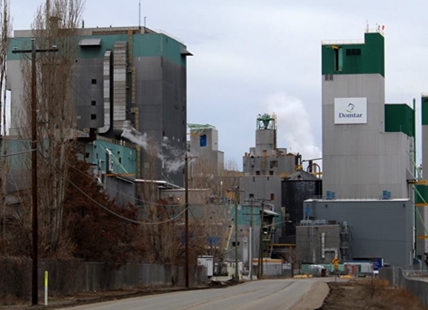 Kamloops pulp mill sold to Montreal company