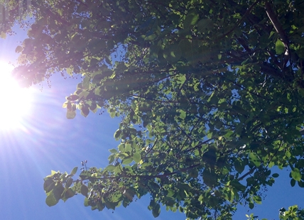 Heat cautions issued for Kamloops, Okanagan but heat dome unlikely