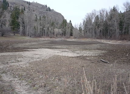 2024 driest year on record in Kamloops, Okanagan