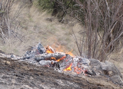 B.C. Wildfire Service implements first fire ban of the year in northern B.C.