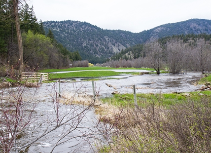 Risk of flooding in Kamloops and Okanagan grows as weather stays cool