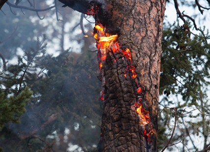 Human caused wildfire west of Kamloops reaches 30 hectares